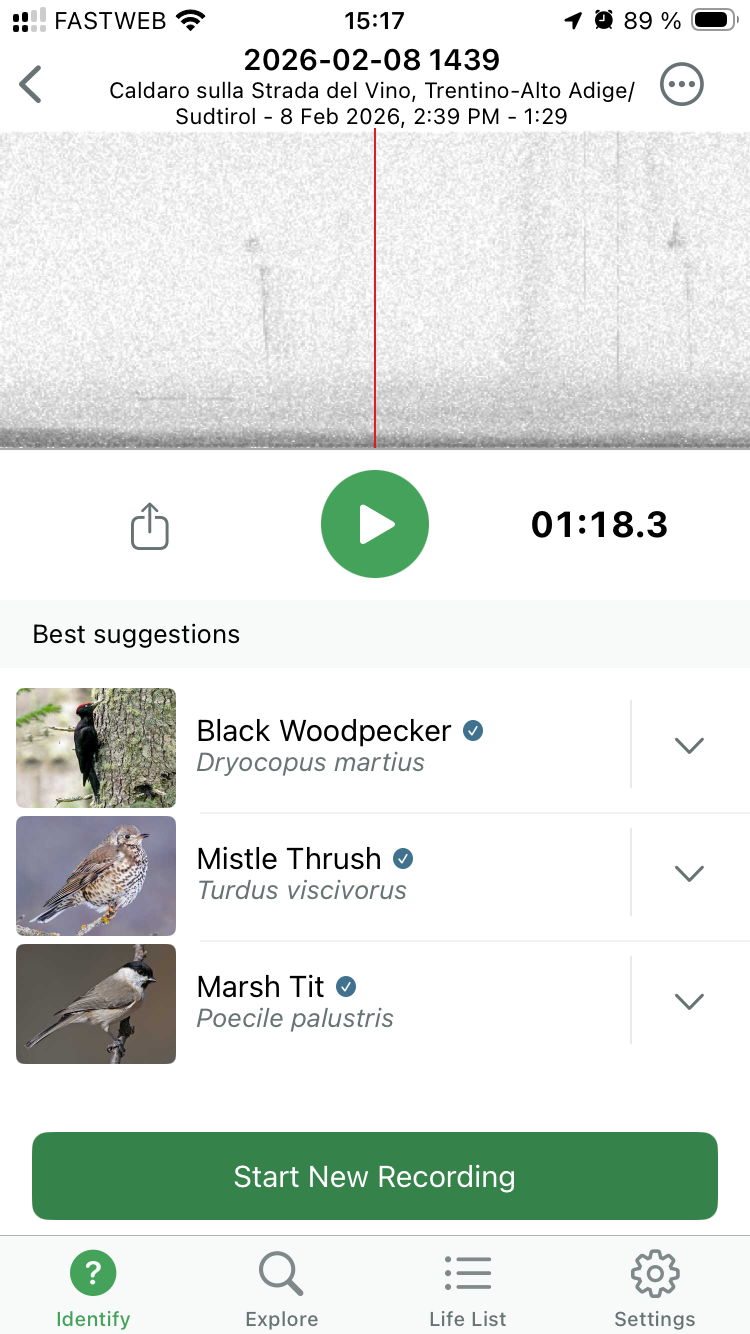 Merlin recording screenshot