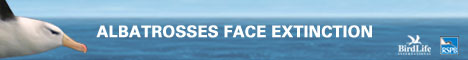 BirdLife International Save the Albatross Campaign